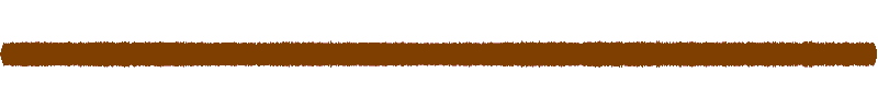 Waveform of the field recording.