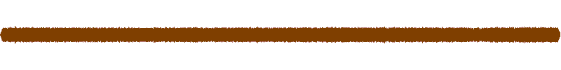 Waveform of the field recording.