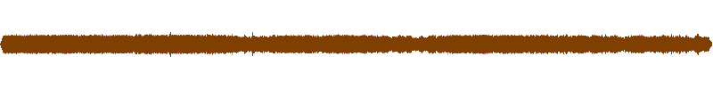 Waveform of the field recording.