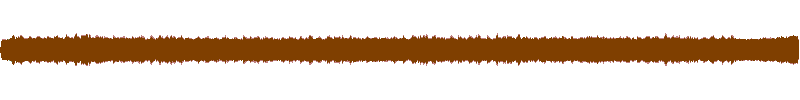 Waveform of the field recording.