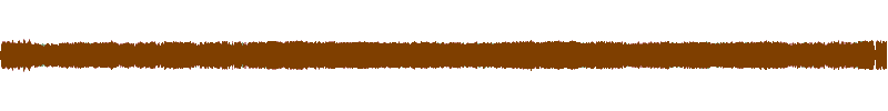 Waveform of the field recording.