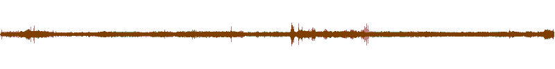 Waveform of the field recording.