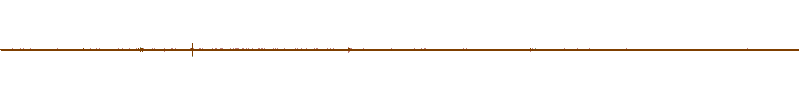 Waveform of the field recording.