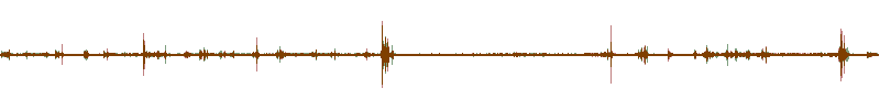 Waveform of the field recording.