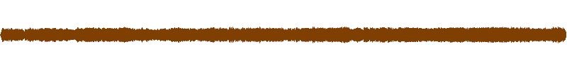 Waveform of the field recording.