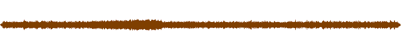 Waveform of the field recording.