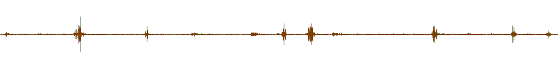 Waveform of the field recording.