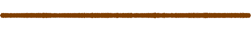 Waveform of the field recording.