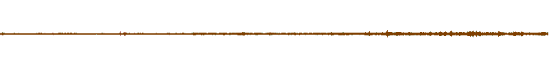 Waveform of the field recording.