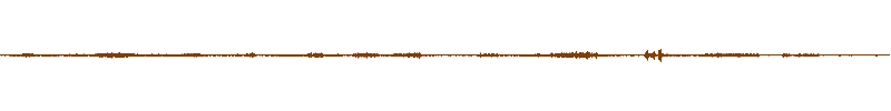 Waveform of the field recording.