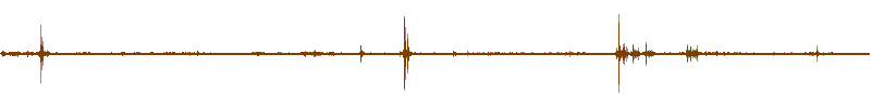 Waveform of the field recording.