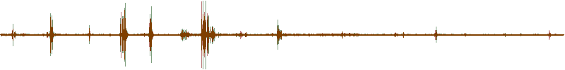 Waveform of the field recording.