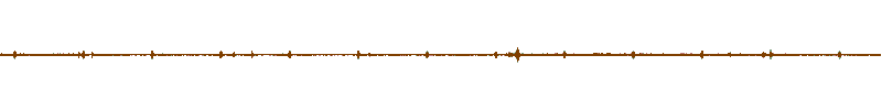 Waveform of the field recording.