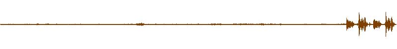 Waveform of the field recording.