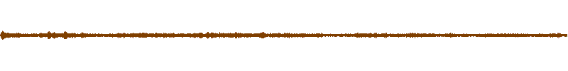 Waveform of the field recording.