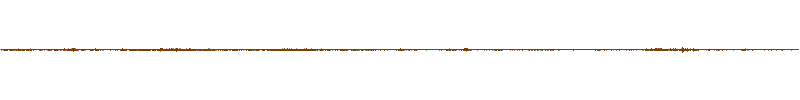 Waveform of the field recording.