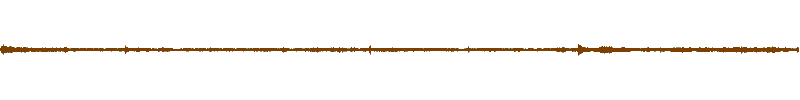 Waveform of the field recording.