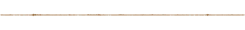 Waveform of the field recording.