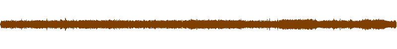 Waveform of the field recording.