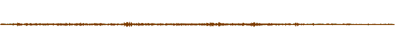 Waveform of the field recording.