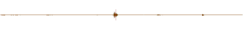 Waveform of the field recording.