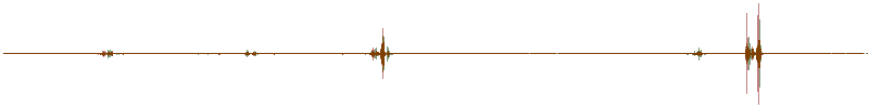 Waveform of the field recording.