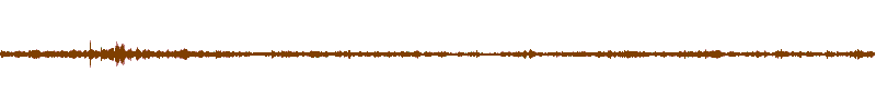 Waveform of the field recording.