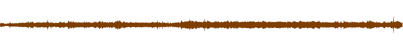 Waveform of the field recording.