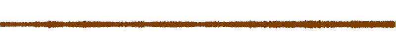 Waveform of the field recording.