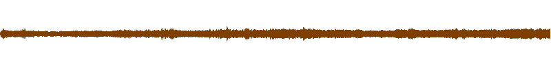 Waveform of the field recording.