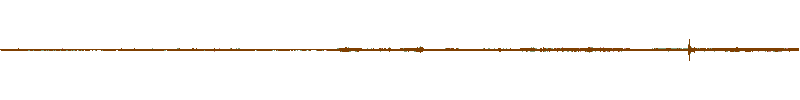 Waveform of the field recording.