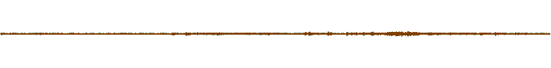 Waveform of the field recording.