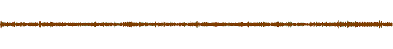 Waveform of the field recording.