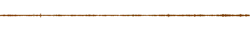 Waveform of the field recording.