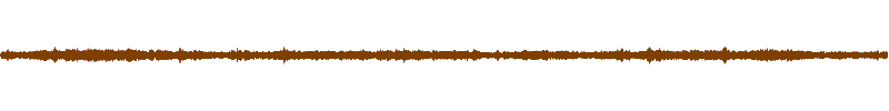 Waveform of the field recording.