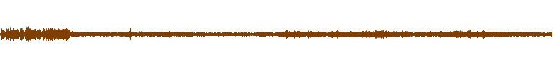 Waveform of the field recording.