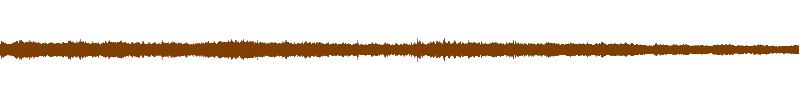 Waveform of the field recording.