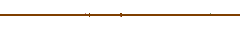 Waveform of the field recording.