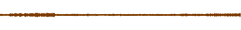 Waveform of the field recording.