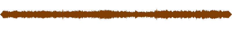 Waveform of the field recording.