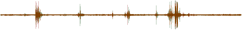 Waveform of the field recording.