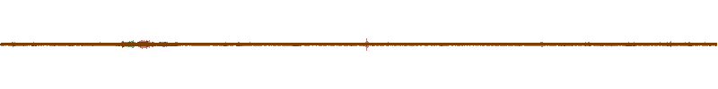 Waveform of the field recording.