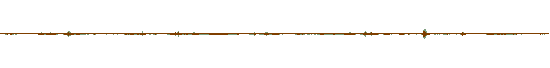 Waveform of the field recording.