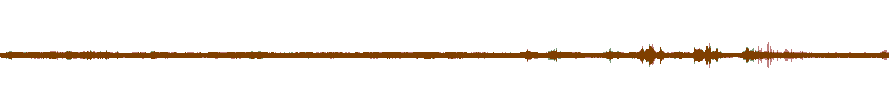 Waveform of the field recording.