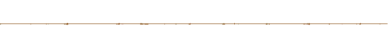 Waveform of the field recording.