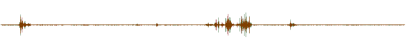 Waveform of the field recording.