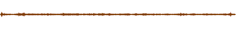 Waveform of the field recording.