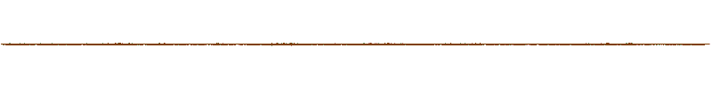 Waveform of the field recording.