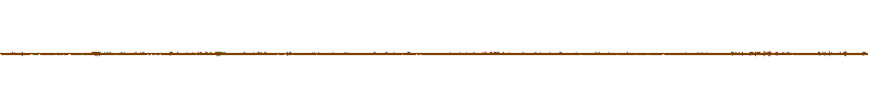 Waveform of the field recording.