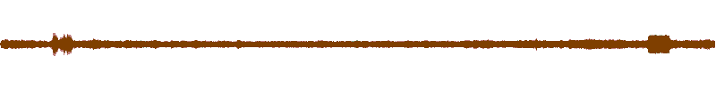 Waveform of the field recording.